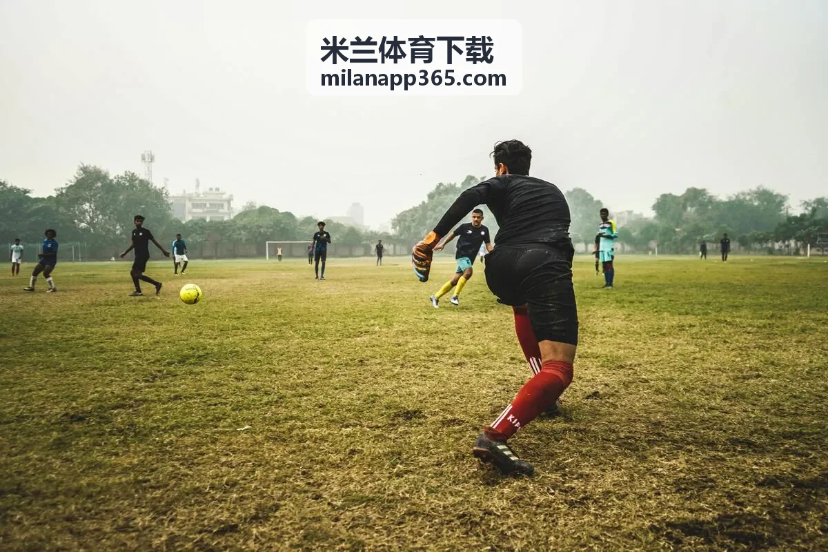 米兰体育下载数据大师